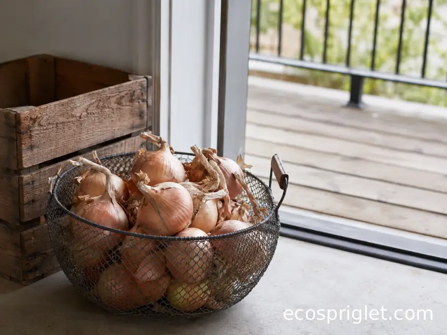 Fully cured onions stored loosely in a ventilated mesh basket in a cool indoor space.